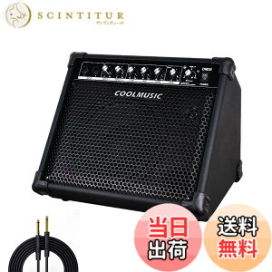 �y���������zCoolmusic DM30 AMP 30 ���b�g�d�q�h���� �A���v �L�[�{�[�h �A���v Aux ���͂� BT�A2 ���́A3 �o���h EQ �� DI �o��