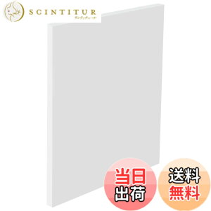 �y���������zBENECREAT 1��200x200mm �v���X�`�b�N�� PP�� ����10mm �� �H��f�� ���� �v���X�p���`�n���}�[�p�b�h �D���p�V�[�g �n�E�X�}�b�g �L�����b�W�}�b�g ���̗n��