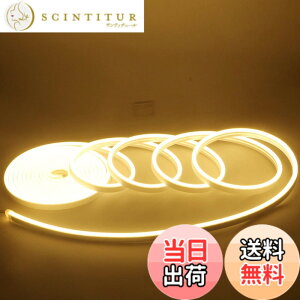�y���������zDUOFU365 LED �e�[�v���C�g 12V �l�I�����C�g �d���F 2835 600�A 5m �h�� �ԐڏƖ� �����p�h�� �ؒf�\ 1��