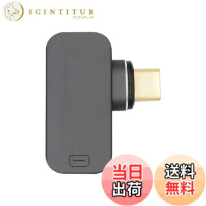 �y���������zNFHK ���C�p�x�^�C�v USB-C Type C - MINI DP �f�B�X�v���C�|�[�g ���j�^�[ �R���o�[�^�[ �A�_�v�^�[ 4K 2K 60hz �d�b&�m�[�g�p�\�R���p