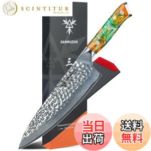 "�y���������zSANMUZUO 8"" Chef Knife - Professional Kitchen Knife - Hammered Damascus Steel & Resin Handle - YAO Series"
