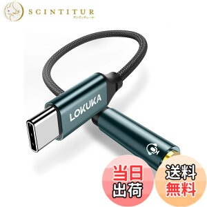�y���������zLOKUKA usb c �C���z���W���b�N DAC���� �n�C���]�Ή� ���ϋv �ʘb/���ʒ���/���y�Đ��Ή� �C���z���ϊ��A�_�v�^ MacBook/iPad Pro/Air/Android/type c �@��p 20cm LC1