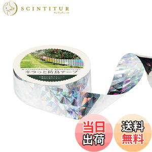 �y���������zOFFO ���悯 �L���L���e�[�v 100.6m ����25�����ʃX�Y���ǂ��̗��ʔ��˃z���O�����e�[�v ��2.4cm ���z�����������˂��邱�ƂŒ����������Ċ񂹕t���܂��� �����j���؂Ȃǂ𒹂�