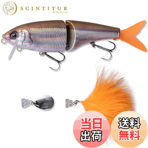 �y���������zAbuGarcia (�A�u�K���V�A) �r�b�O�x�C�g �r�[�X�g175F �z�����A�����J�T�M AHBST175F-HRWAK