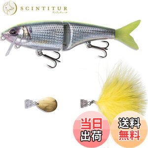 �y���������zAbuGarcia (�A�u�K���V�A) �r�b�O�x�C�g �r�[�X�g175F �C�G���[�o�b�N���A���{���R�m AHBST175F-YBRBK