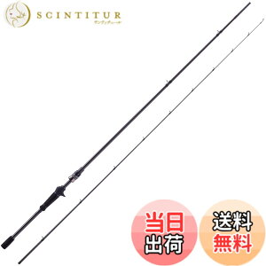 �y���������zAbuGarcia (�A�u�K���V�A) �\���e�B�[�X�e�[�W�v���g�^�C�v ���� SaltyStageProtoType Kurodai XKRC-73MLS-BF