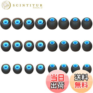 �y���������zA-Pcas �C���[�s�[�X �C���[�`�b�v ���a�_�C����3.8mm-4.5mm�J�i���^�C���z�� �����p Ja�]bra Sport Pace�pSO-NY�p wi-c310�p mdr�V���[�Y�J�i���^�C���z���p xba�V���[�Y�J�i���^�C���z���p 2