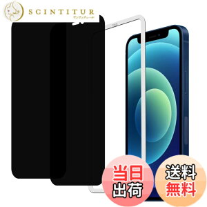 �y���������z�y2���Z�b�g�̂������h�~�z�K�C�h�g�t�� KPNS ���{�f�ސ� �`�����h�~ iPhone12 / iPhone12 Pro �p �K���X�t�B���� �����K���X �J�o�[ �ی�t�B����