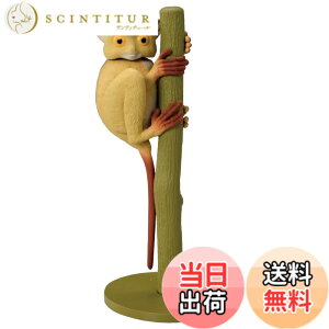 ���i�摜