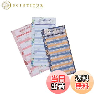 �y���������zLAPOND �ƌv��蒠��p �\���\�Z�V�[�g �o�W�F�b�g�V�[�g �J���[�v�����g�i12������j