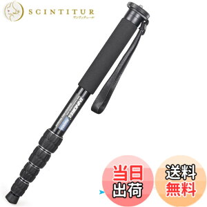 �y���������zINNOREL ��r �J�����p �R���p�N�g��r �A���~��r 10KG�ω׏d 5�Z�N�V�����L�k �g���x���쒹�B�茻��񓹃X�|�[�c�C�x���g�ɑΉ� ���s��r RM285A