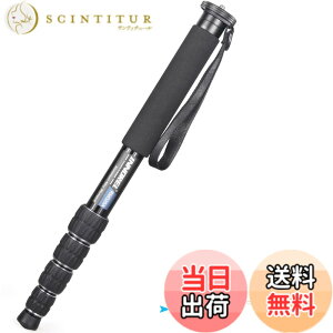 �y���������zINNOREL ��r �J�����p �R���p�N�g��r �A���~��r 12KG�ω׏d 5�i�L�k �g���x��/�쒹�B��/�����/�X�|�[�c�C�x���g�ɑΉ� ���s��r RM325A