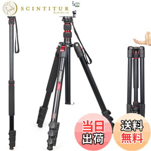 �y���������z��჌�t�O�r INNOREL �g���x���O�r ��r�ώ� �A���~�� 15KG�ω׏d 197CM�ő��ƍ��� 36MM��d�S�_��t�� �R���p�N�g�O�r �J�������~���[���X�p �y�� RT30+D36