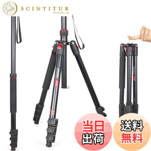 �y���������z��჌�t�O�r INNOREL �g���x���O�r ��r�ώ� �A���~�� 15KG�ω׏d 197CM�ő��ƍ��� �R���p�N�g�O�r �J�������~���[���X�p �y�� RT30