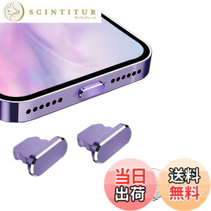 �y���������zVIWIEU Lightning �ی�L���b�v iPhone 14 13 12 11 Mini Plus Pro Max�p ���C�g�j���O�[�d�� �R�l�N�^ �[�q�ی�A�����A���~�� �� ���ϋv�h�o�v���O iPad mini Airpod�K�� �z�R�� �S�~�h�~ 2��(�f�B