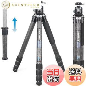 �y���������z�J�[�{�� �O�r ��^ INNOREL �J�����O�r 30KG �ω׏d 40MM�p�C�v �R���p�N�g�O�r 201CM�ő卂�x 52MM�{�[���_��t�� �쒹 ���� �V�̊ϑ� �v���� �����Z���^�[�|�[���t�� ���[�P�[�X KT404