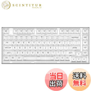 �y���������zYUNZII X75 �z�b�g�X���b�v���J�j�J���L�[�{�[�h �����ȃL�[�L���b�v �K�X�P�b�g����75�L�[�{�[�h RGB�o�b�N���C�g�t�� �Q�[�~���O�L�[�{�[�h Windows/Mac�Ή�(�N���X�^���z���C�g��
