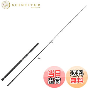 �y���������zAbuGarcia (�A�u�K���V�A) �\���e�B�[�X�e�[�W�v���g�^�C�v �c�i SaltyStageProtoType TUNA XTNS-84X