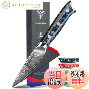 �y���������zSANMUZUO 3.5 Inch Paring Knife - Kitchen Fruit Vegetable Knife Damascus Steel & Resin Handle - XUAN Series (Starry Black)