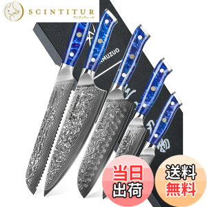 �y���������zSANMUZUO Chef Cooking Knives Set- Kitchen Knife Set of 5 Piece - Ultra-Sharp VG10 Damascus Steel & Resin Handle - Xuan Series (Sapphire Blue)