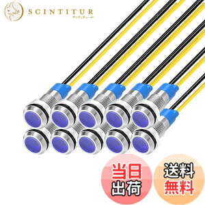 �y���������zKILIGEN 10�� 6mm 110V-220VAC LED �h���C���W�P�[�^���C�g �p�C���b�g���C�g�V�O�i�� �C���W�P�[�^�i�u���[�j