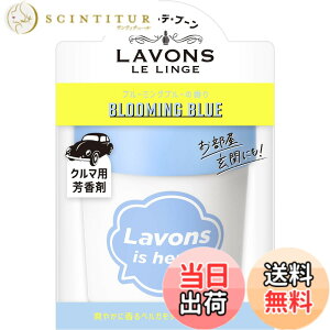 �y���������z���{��(Lavons) �E�f�E�u�[�� [�ԗp �F����] �Q���^�C�v �u���[�~���O�u���[ ���L �|�b�h ���X�N�̍��� �I�t�z���C�g 110g