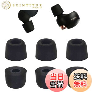 �y���������zA-��cas �C���[�s�[�X �ᔽ�� �E���^���� Sony�p WF-1000XM4�p 1000xm5�p WF-C700n�p �E���^�����ᔽ���C���[�s�[�X �L���t�H�[���C���[�`�b�v Fit in the Case �Չ��� �t�B�b�g�� ���������� 