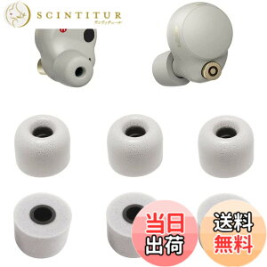 �y���������zA-Pcas �ᔽ���C���[�s�[�X SONY�p WF-1000XM4�p �E���^�����m�C�Y�L�����Z�����O�C���[�s�[�X WF-1000XM5�p WF-C700n�p �L���t�H�[���C���[�`�b�v Fit in the Case �Չ��� �t�B�b�g�� ��������