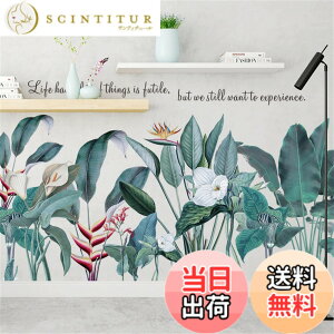 �y���������zWOHAHA �E�H�[���X�e�b�J�[ ������� �A�� �M�ѐA���̗t �k�� ���m�g�[�� �� �i�F life had a lot of things is futile we still want to experience �p�� �E�H�[���V�[�� �ǎ��V�[�� �͂����� �ǂɓ\