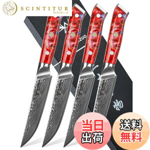 �y���������zSANMUZUO Steak Knives Set of 4, Ultra Sharp Non Serrated Kitchen Steak Knife 5 Inch - Damascus Steel & Resin Handle - Xuan Series (Sunset Red)
