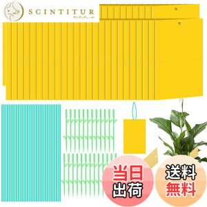�y���������zSimpeak 50������ �����g���b�v �ߒ��V�[�g �߂�S���V�[�g �����X�e�B�b�L�[ �L���b�`���[ �Q���΍��p�i ���ʋ��͔S���n�G �A�u�����V �~�o�G �I ��ߊl ����� �S���V�[�g ���A