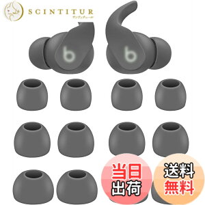 �y���������zA-Pcas �C���[�`�b�v Beats Fit Pro�C���z���p�C���[�s�[�X �V���R���� S/M/L3�T�C�Y 6�y�A �Z�[�W�O���C�i713�j