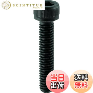�y���������z�g���X�R���R(TRUSCO) �Z�p���t�{���g �S�l�W B302060 ������ M20x60 2�{�� x 10�p�b�N �y�P�[�X�̔��z