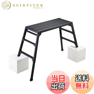 �y���������z���J��H��(Hasegawa) BLACK LABEL �r���L�k�����u���b�N DRSWB-1000 (0.65-0.96m) (10433)
