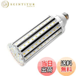 �y���������zLED�R�[�����C�g �g�E�����R�V�^ 50W LED�d�� E26���� 4500Lm/3000K 400-450W���M�d������ �����P�x �ȃG�l ������ �q�ɁE�[�ˁE���ԏ�E�ԌɁE�H��E�����K���[�W�ȂǂɑΉ��c (�d���F, 