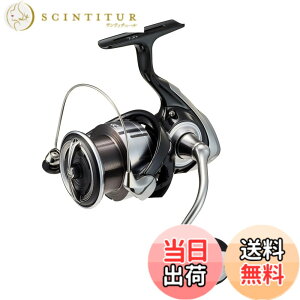�y���������z�_�C��(DAIWA) �V���A�W�M���O �X�s�j���O���[�� 23���O�U(LEXA) LT4000-CXH