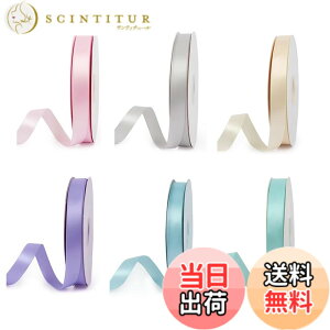 �y���������zYFFSFDC �T�e�����{�� 6�F�Z�b�g ��10mm ��| ���b�s���O �ԍ� ���� ���� ���� �M�t�g�p ���傤���� � (B)