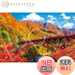 �y���������z�G�|�b�N�� 1000�s�[�X �W�O�\�[�p�Y�� ���{���i �H����̍������J�ƃg���b�R�d�ԁ[�x�R (50x75cm) 09-053s �̂�t�� �w���t�� �_�����t�� EPOCH