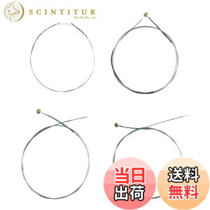 �y���������zDreld �o�C�I������ 4�{�Z�b�g �X�e�����X�|�� �ǎ� ��v�Œ����� 3/4 & 4/4 ���@�C�I���� �X�g�����O E�EA�ED�EG �X�`�[�����Z�b�g �o�C�I���� �������i