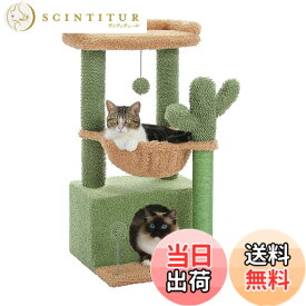 【送料無料】PAWZ Road キャットタワー ミニ 猫タワー サボテン 小型 低め 据え置き 人気 コンパクト 省スペース 麻紐爪とぎ ハンモック おしゃれ インテリア シンプル かわいい おもちゃ付き - 高さ80cm グリーン AMT0211GN
