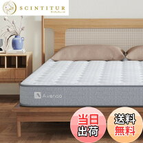 楽天市場】avenco シングルの通販