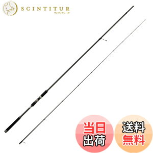 �y���������zAbuGarcia (�A�u�K���V�A) �\���e�B�[�X�e�[�W�v���g�^�C�v �T�[�t�X���C���[ SaltyStageProtoType SURFSLAYER XSFS-1082M