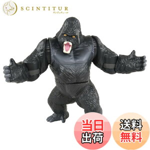 ���i�摜