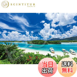 �y���������z�G�|�b�N�� 1000�s�[�X �W�O�\�[�p�Y�� ���{���i �Ί_���̕ɂ��C-���� (50x75cm) 09-039s �̂�t�� �w���t�� �_�����t�� EPOCH
