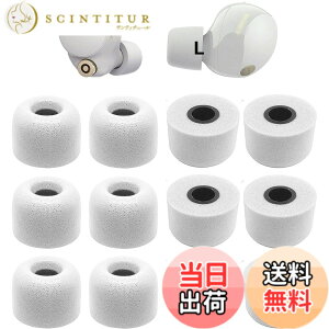 �y���������z�m�C�Y�L�����Z���ᔽ���C���[�s�[�X Sony�p 1000xm5�p WF-C700n�p WI�V���[�Y�C���z���p WF�V���[�Y�C���z���p �|���E���^���t�H�[���f�� �E���^�����C���[�s�[�X XM5�p �yL�T�C�Y 6