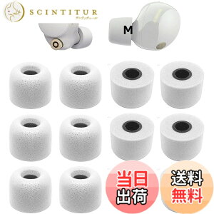 �y���������zWF�]1000XM5�p �C���[�s�[�X Sony�p�m�C�Y�L�����Z���ᔽ���C���[�s�[�X 1000xm4�p WF-C700n�p WI�V���[�Y�C���z���p WF�V���[�Y�C���z���p �|���E���^���t�H�[���f�� XM5�p �yM�T�C�Y 6