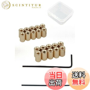 �y���������zYFFSFDC �s���o�b�W�̃s���o�b�` 6x5mm 20�Z�b�g�l�W���L���b�` ���ߋ� ���� ���[�P�[�X�t (���F)