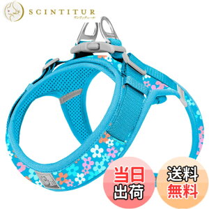 �y���������zcocomall �A�ɗD�������n�[�l�X 2023�ŐV TRUE LOVE���{�����X ���p�n�[�l�X ���p���� �h�b�O �y�b�g�p�i �n�[�l�X���[�h 3M���ˍޗ� �P�� �i�C������ ���^���A���^���A���^���Ɍ��� 