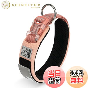 �y���������zcocomall���{�����X 2023�ŐV����� ���̎�� ���^�A���^�A��^���p �y�b�g�p�i 3M���ˍޗ� �i�C������ �ʋC�� �e�͐� �\�t�g ���߉\ ������� ���p�P�� (XS, �X��F)