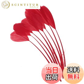 【送料無料】PATIKIL 15-20cm ガチョウの毛 50個入り バルク天然羽毛 工芸 カーニバル 手作り 衣装 ウエディング パーティー スタイル4 レッド